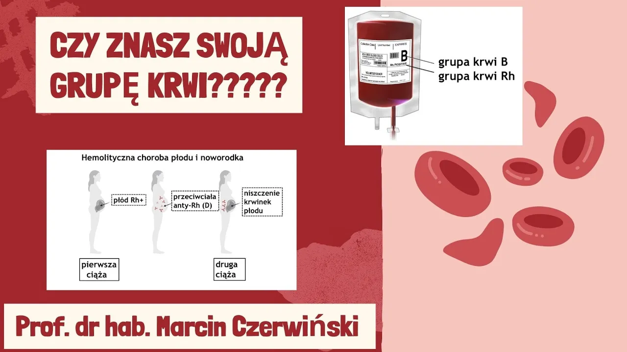 Jak Sprawdzić Jaką Mam Grupę Krwi Grupy krwi: dziedziczone cechy erytrocytów - Stacja IITD